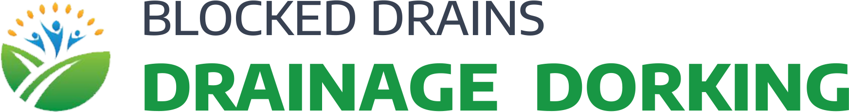 website logo